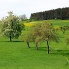 Der Frühling ist da ...