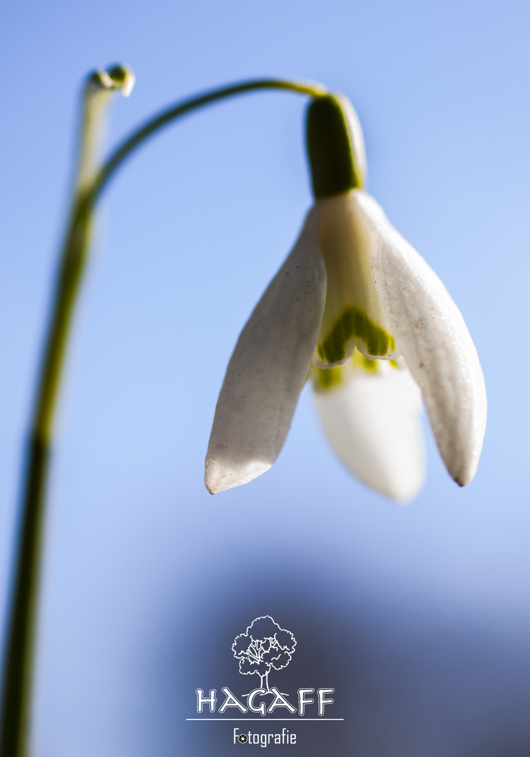 Der Frühling ist da ;)