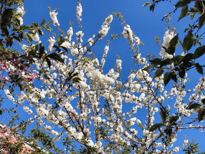 Der Frühling ist da....