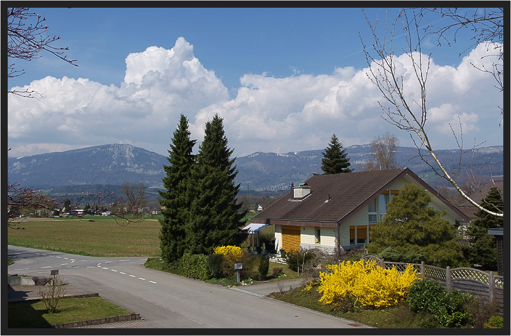 Der Frühling ist da!!!