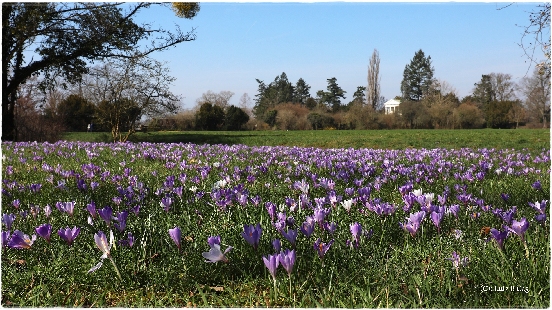 Der Frühling ist da