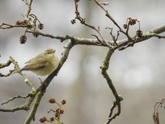 Der Frühling ist da!