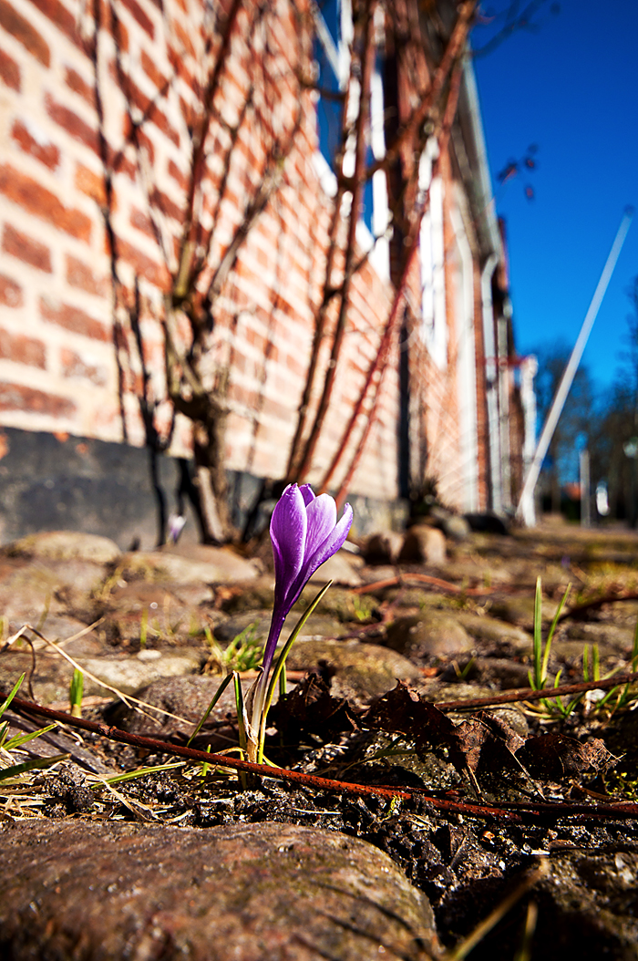 Der Frühling ist da