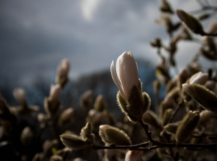 Der Frühling ist da!