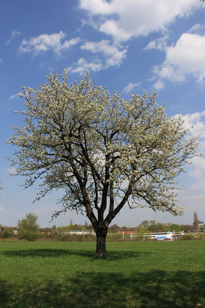 Der Frühling ist da!