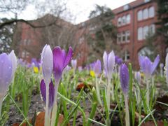 der Frühling ist da