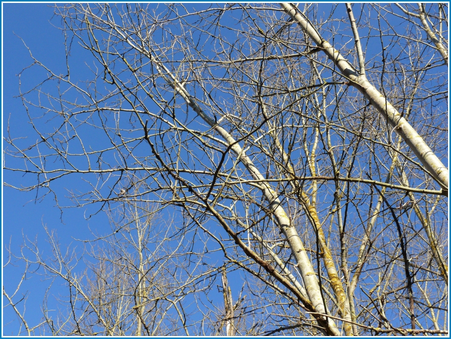 Der Frühling ist da!