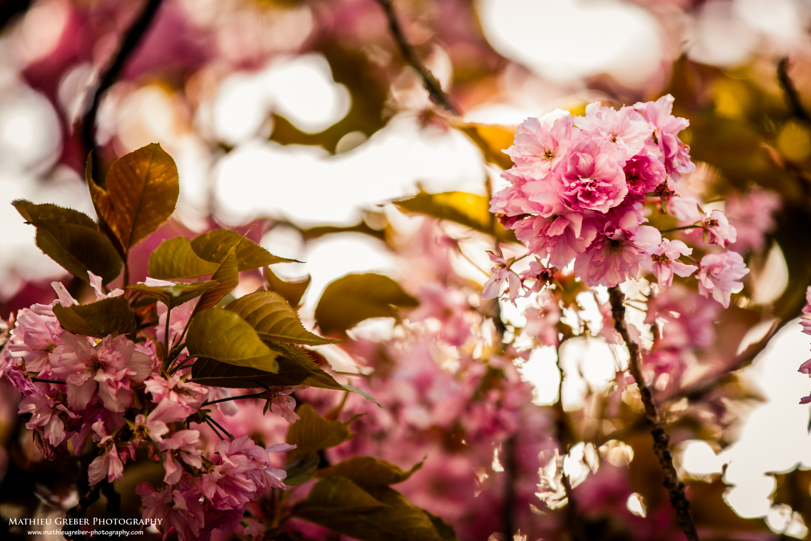 Der Frühling ist da!