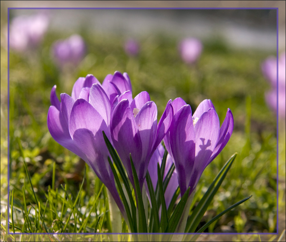 Der Frühling ist da!