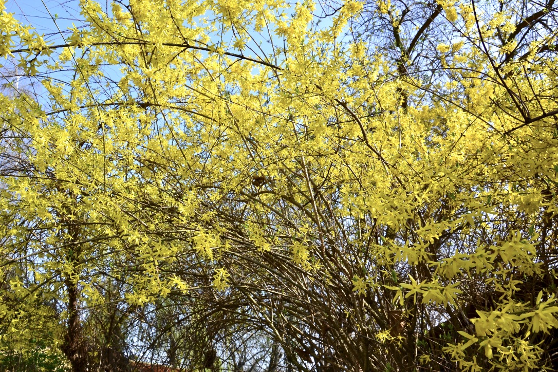 Der Frühling ist da!