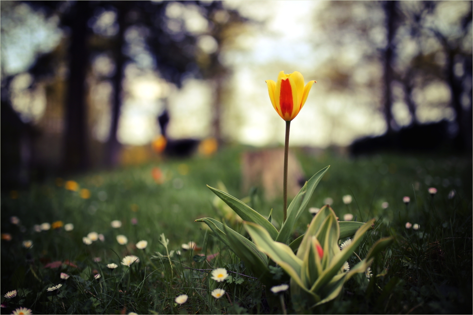 Der Frühling ist da.