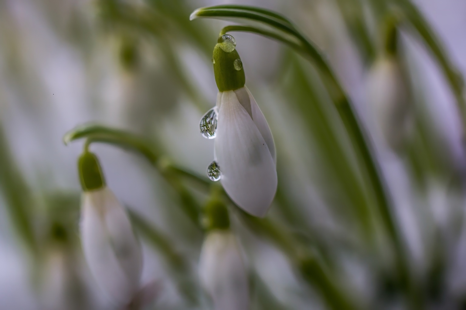 Der Frühling ist da