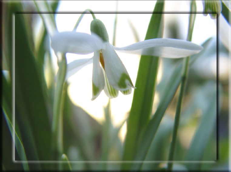 Der Frühling ist da!