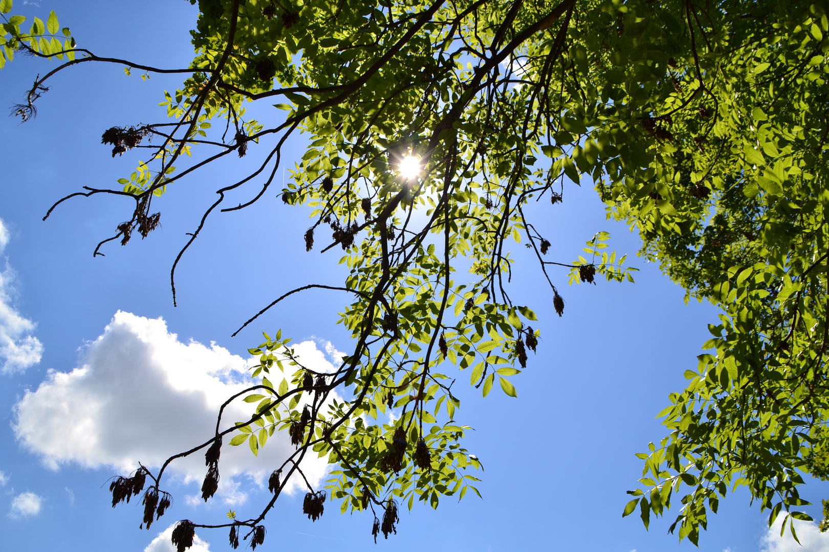 Der Frühling ist da :)