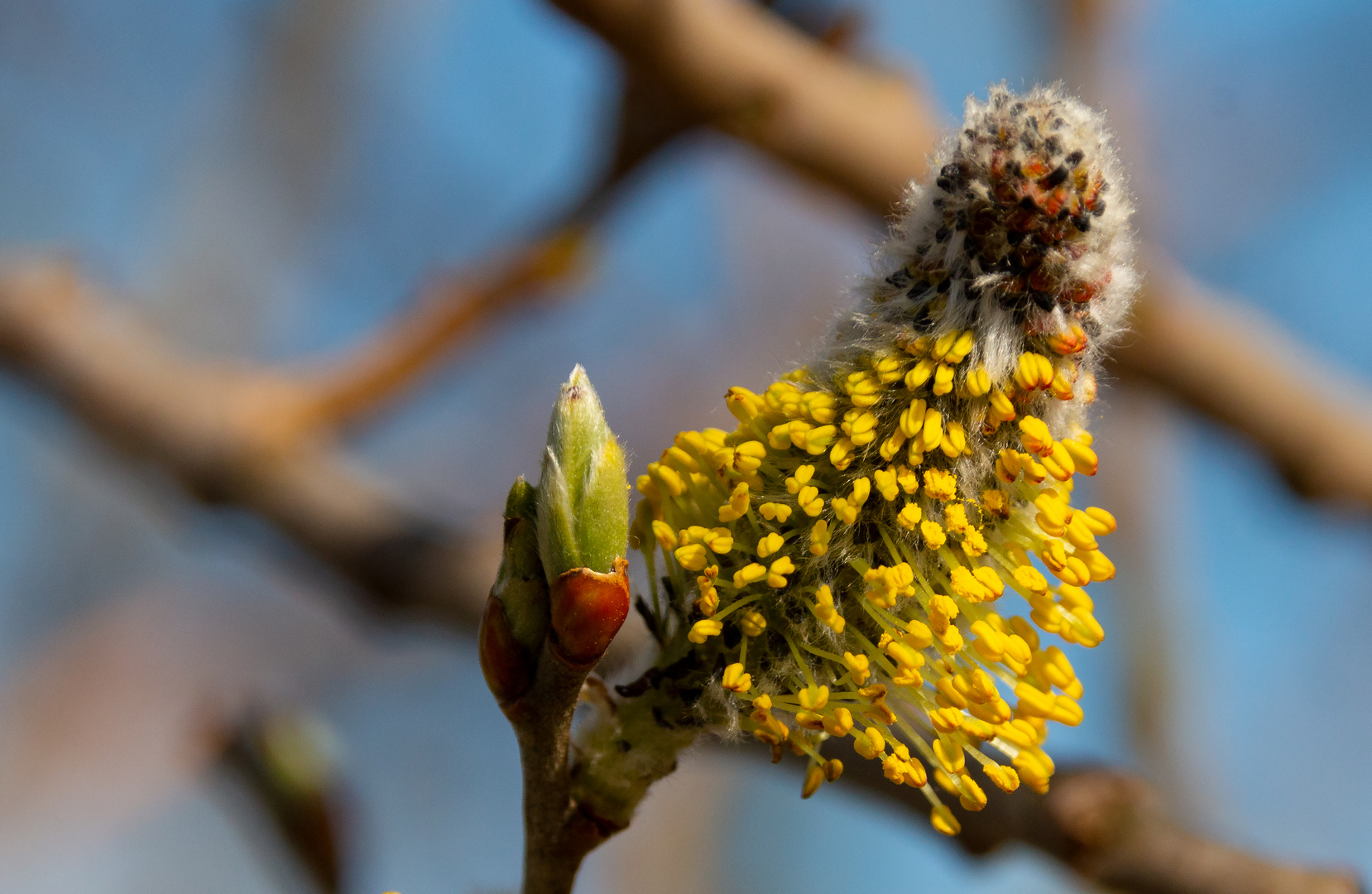 Der Frühling ist da. 