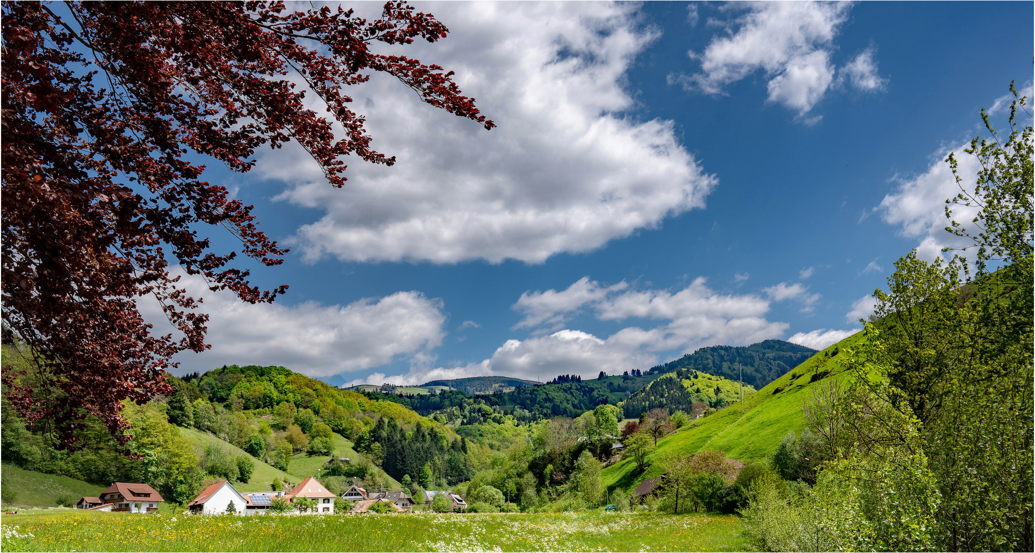 Der Frühling ist da