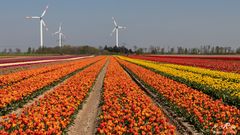 Der Frühling ist da!