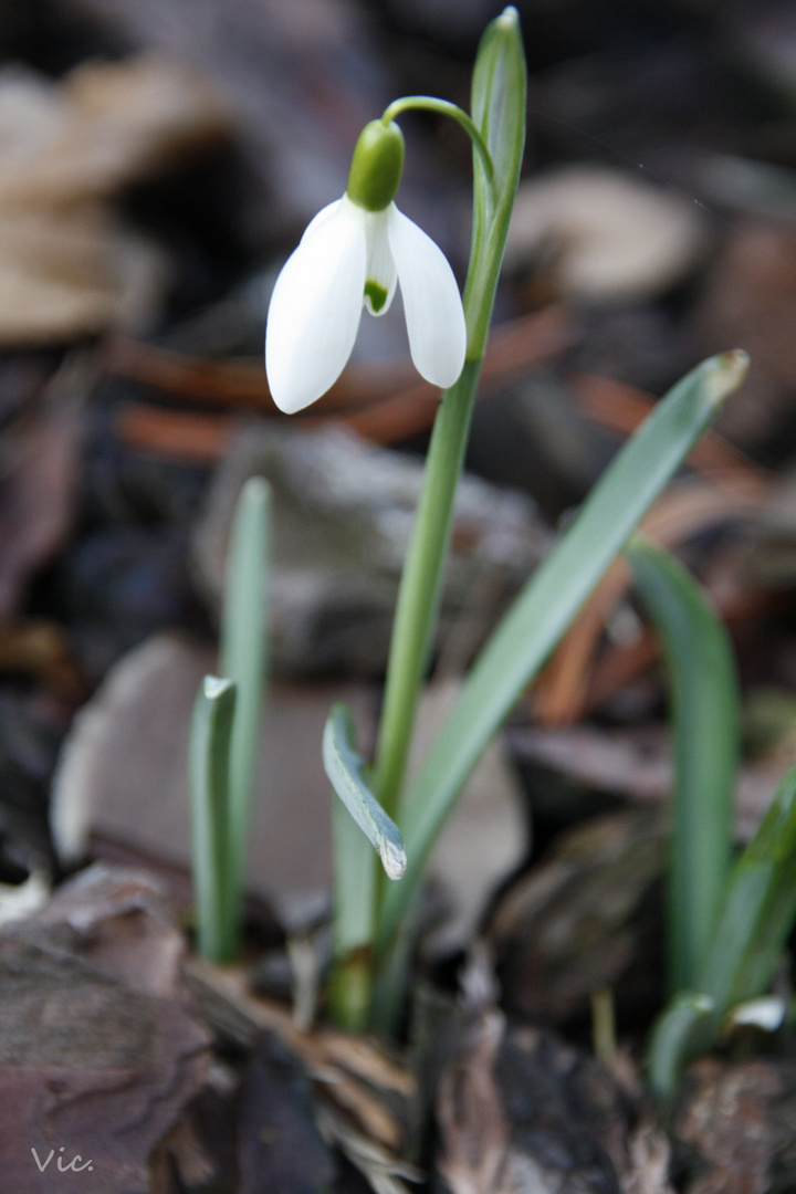 Der Frühling ist da!