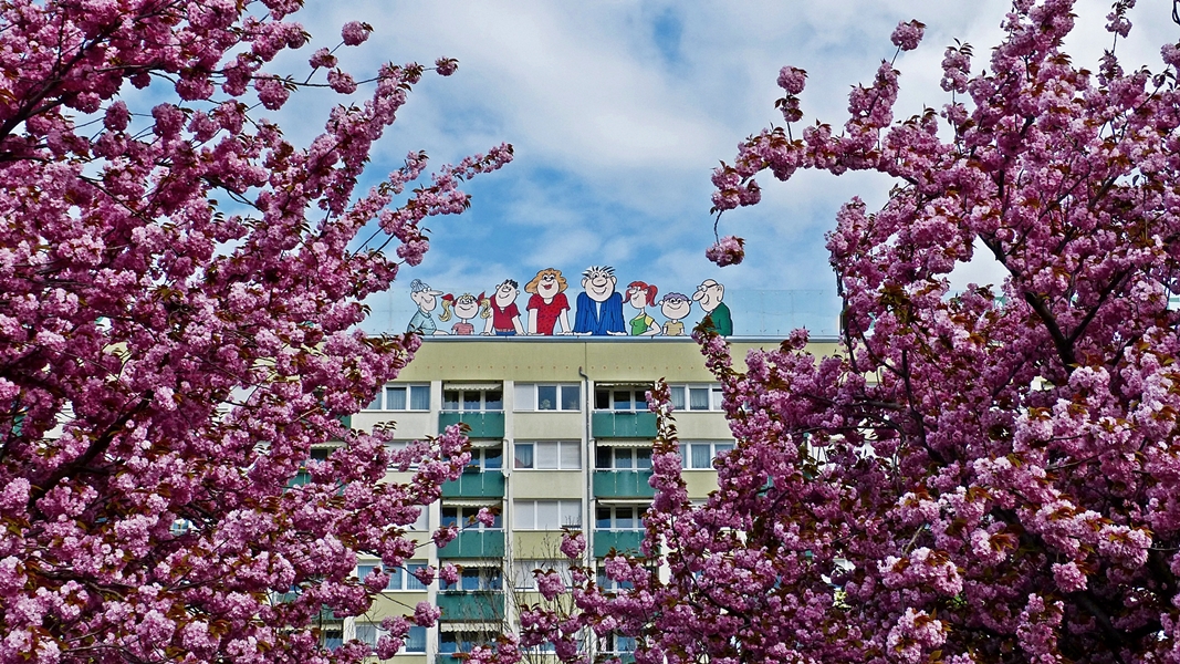 Der Frühling ist da.....