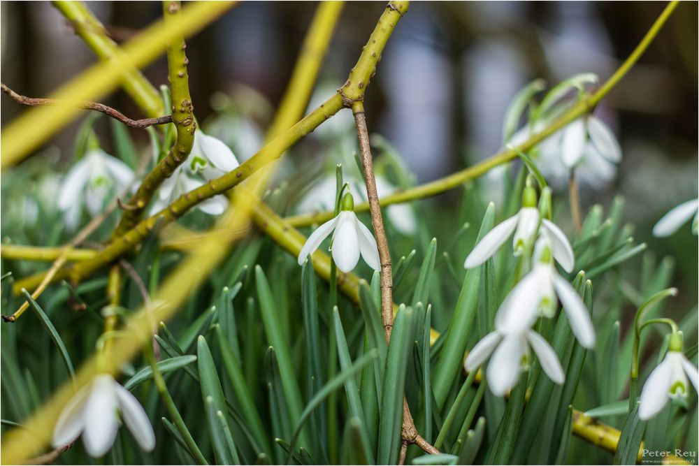 Der Frühling ist da.....