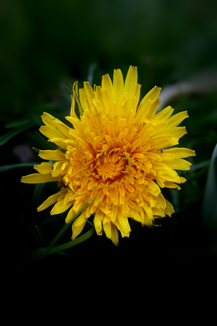 Der Frühling ist da!