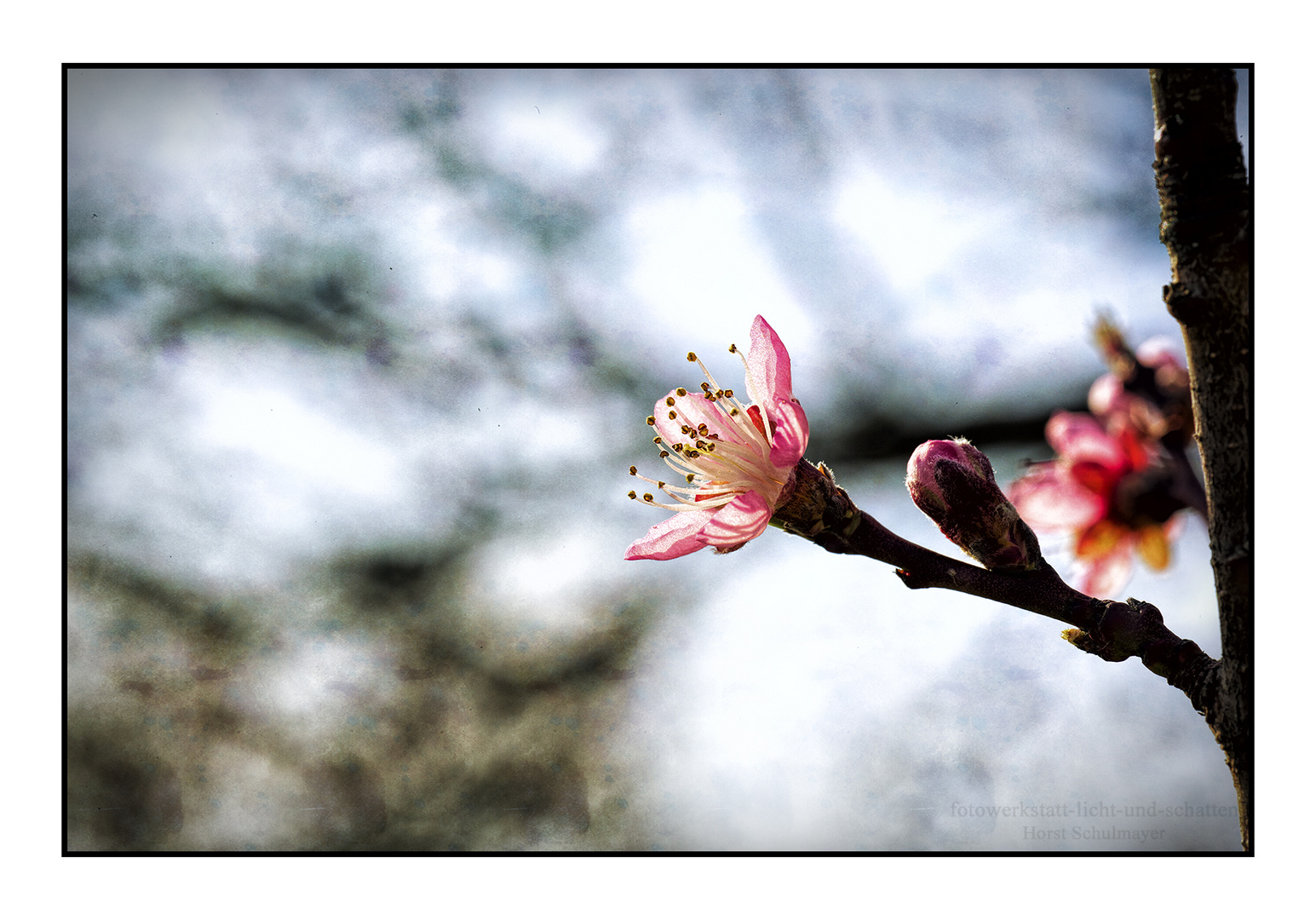 Der Frühling ist da