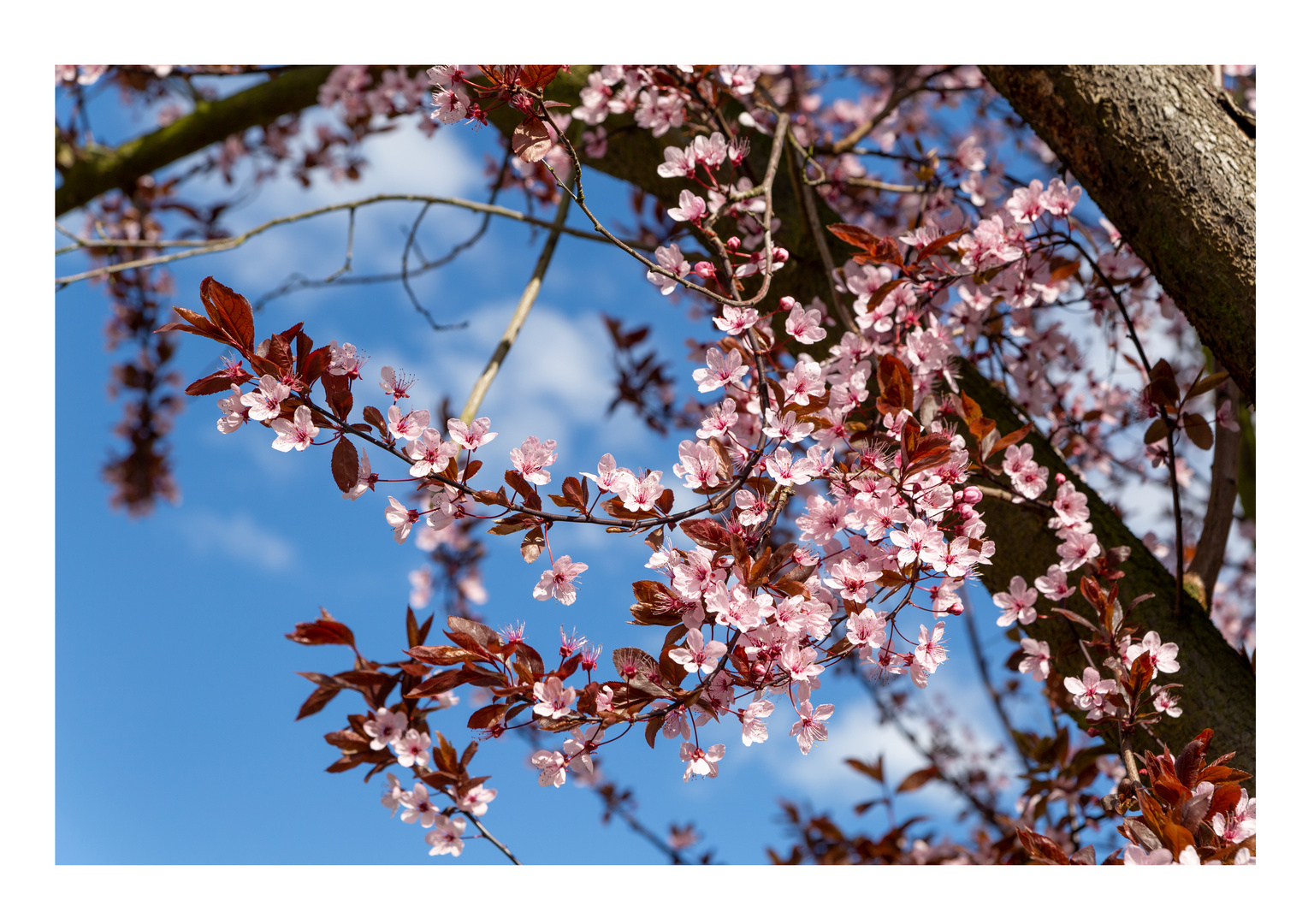 Der Frühling ist da!