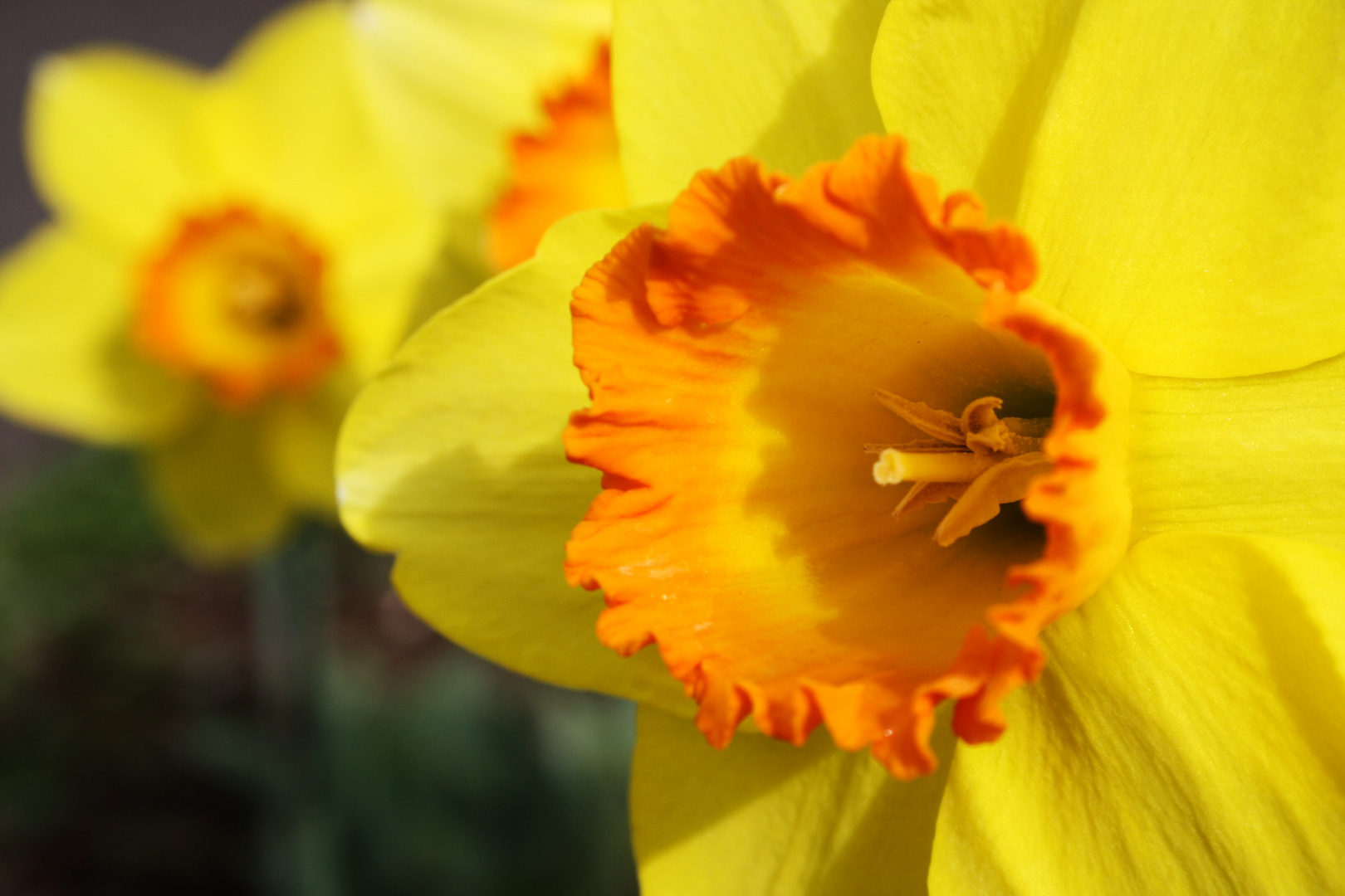 Der Frühling ist da!