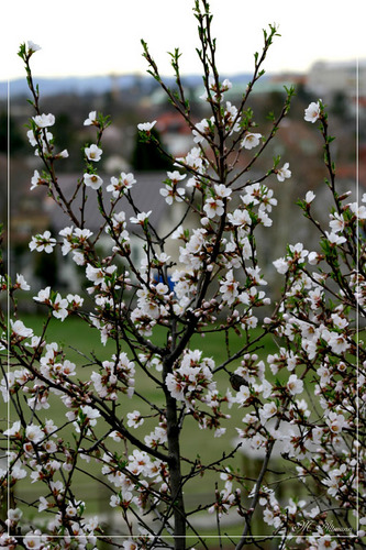 Der Frühling ist da!