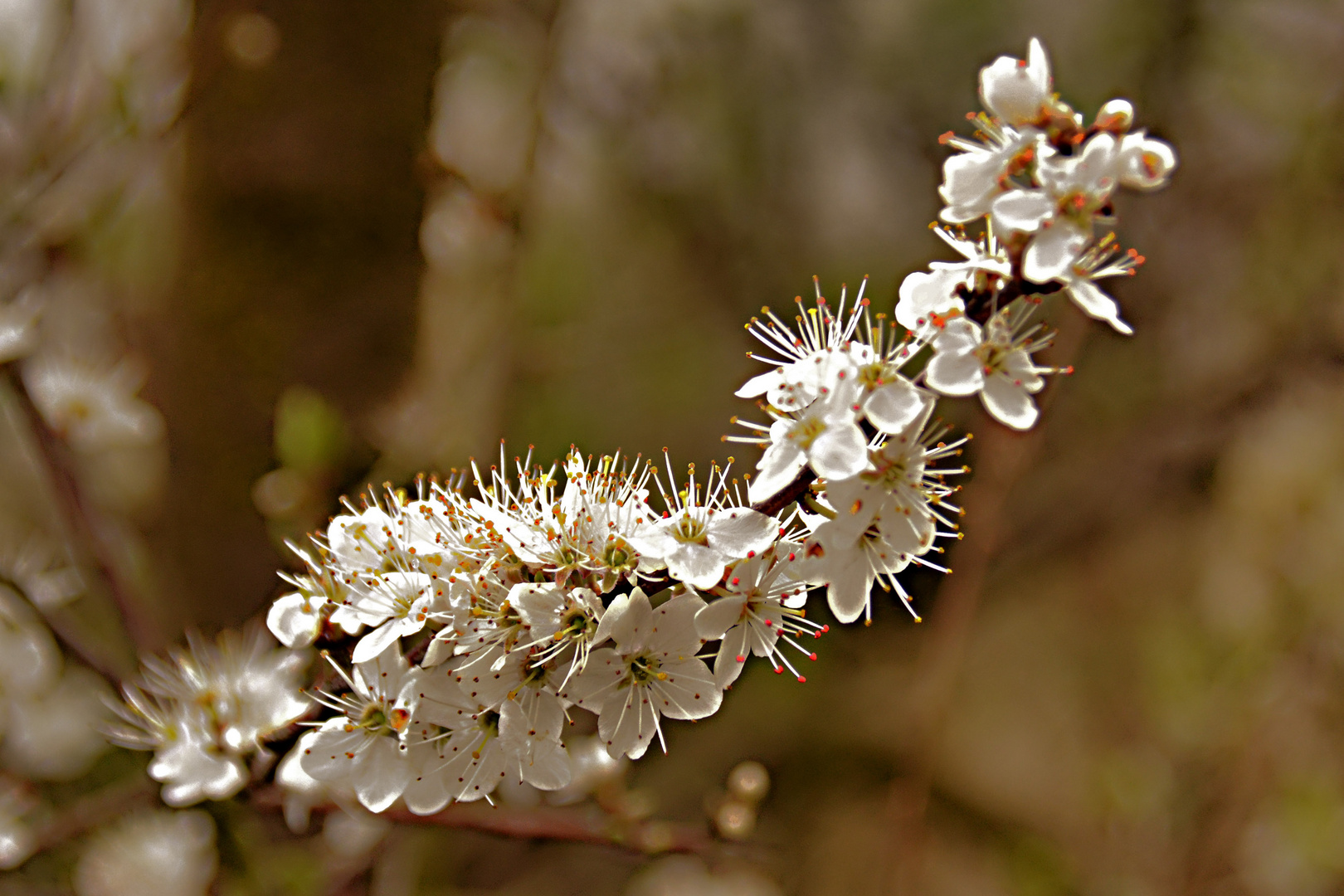 Der Frühling ist da.