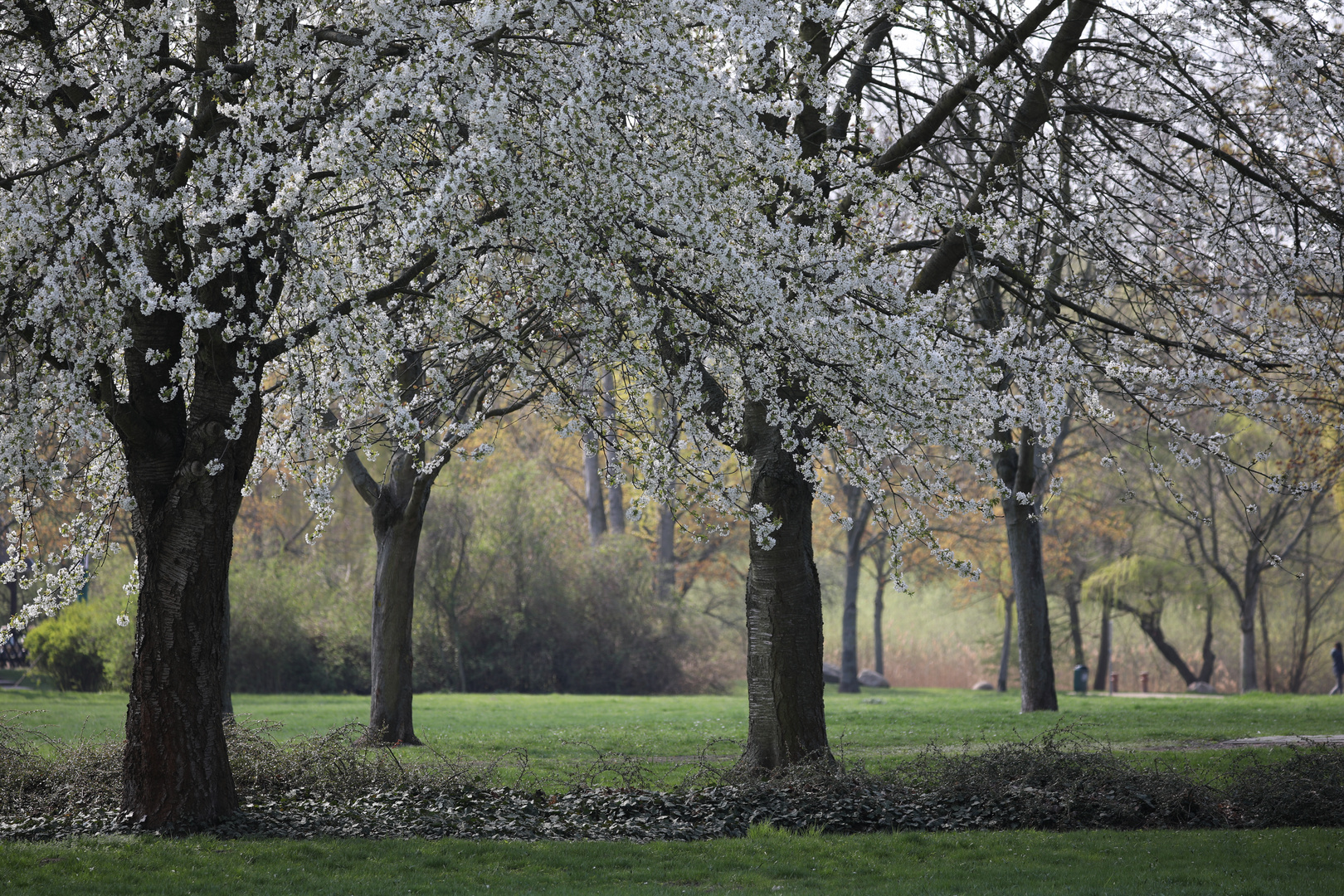 Der Frühling ist da...