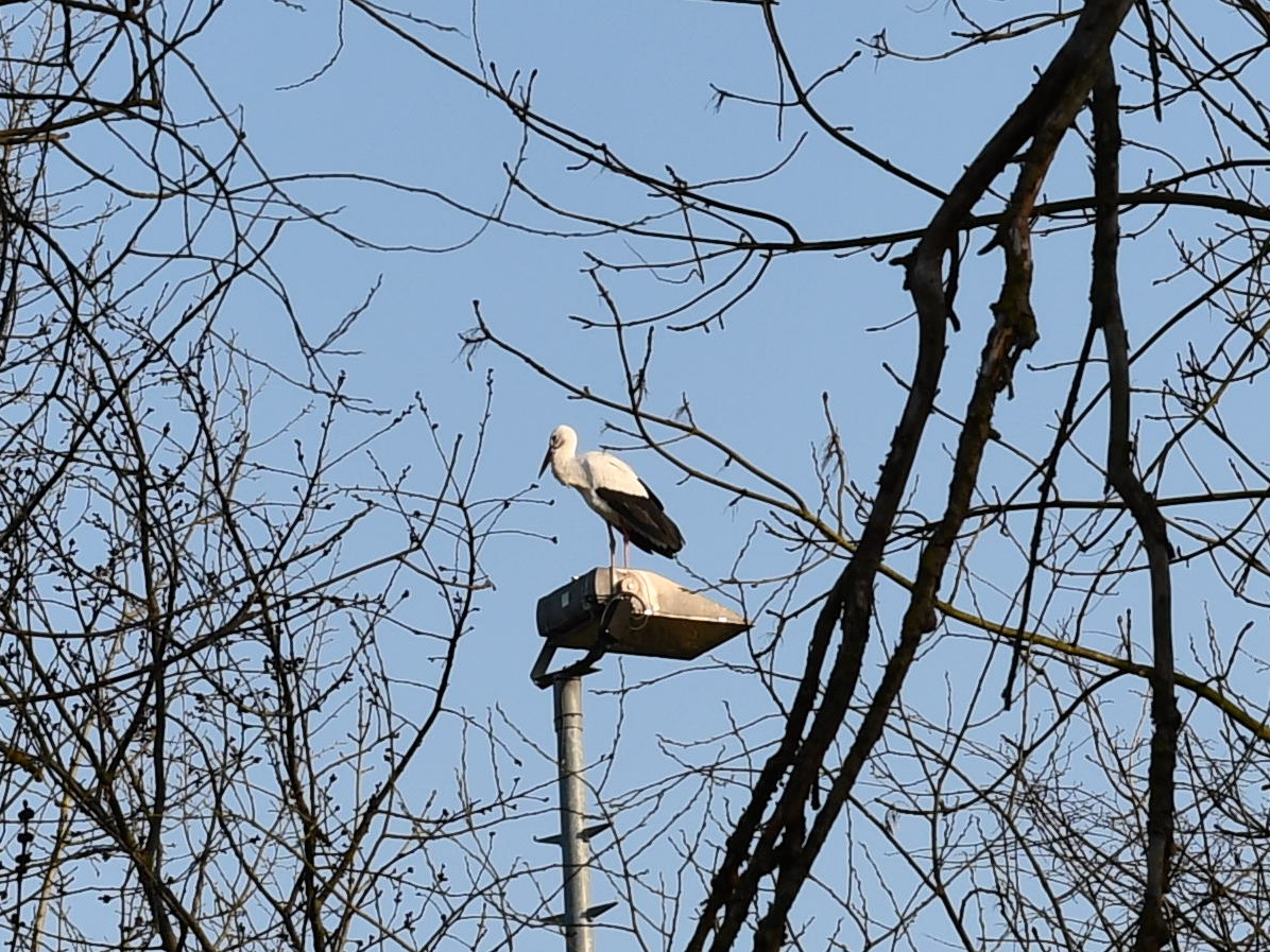 Der Frühling ist da.