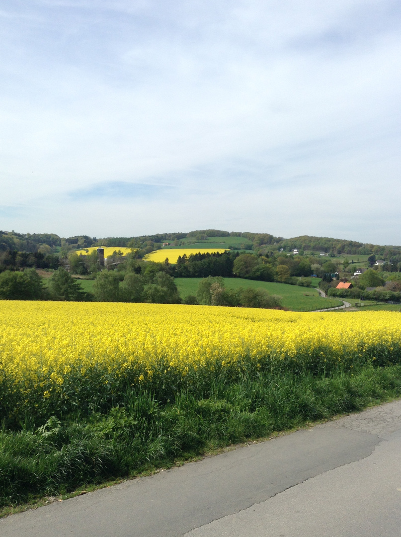 Der Frühling ist da.