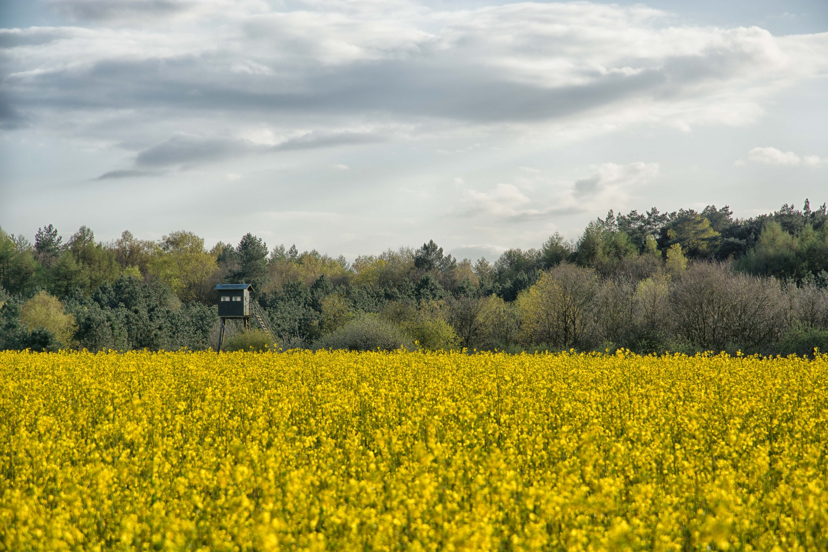 Der Frühling ist da :)