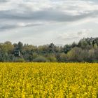 Der Frühling ist da :)