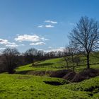 der Frühling ist da