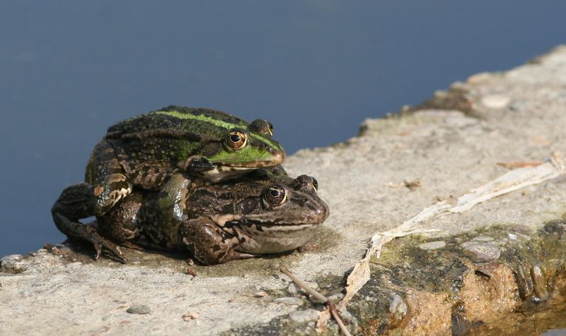 Der Frühling ist da!