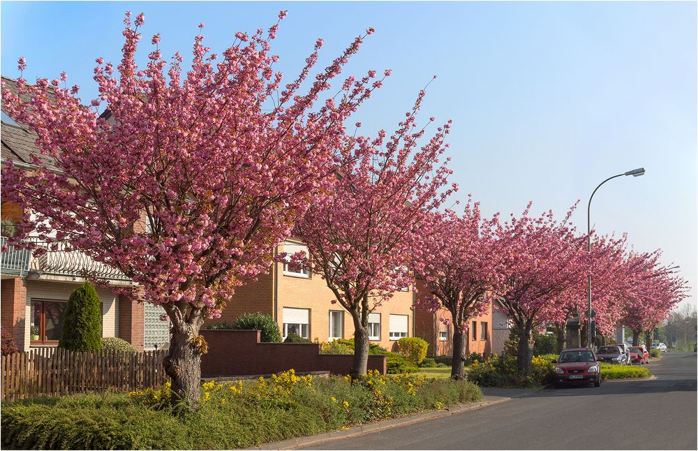 Der Frühling ist da.