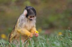 Der Frühling ist da