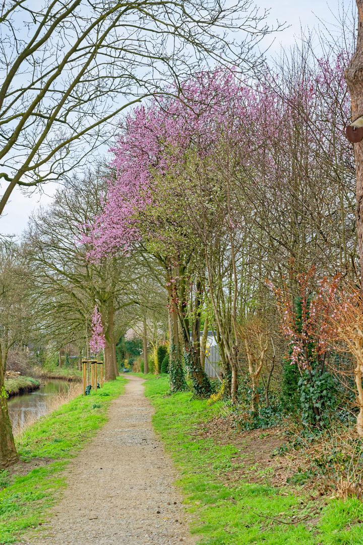 Der Frühling ist da