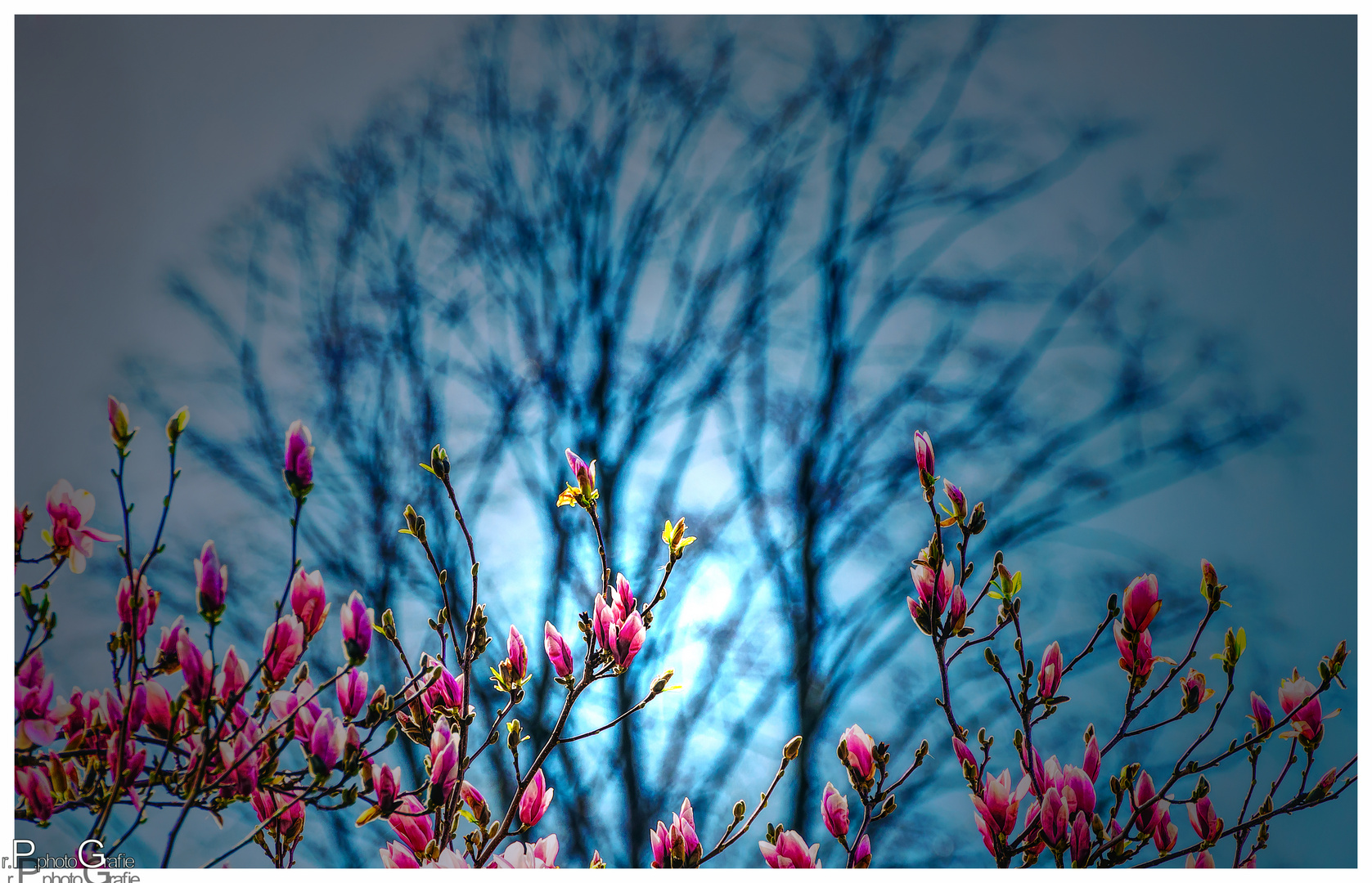 Der Frühling ist da!