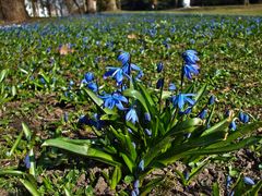 der Frühling ist da