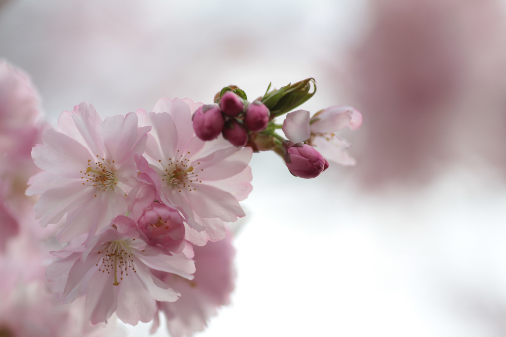 Der Frühling ist da ;-)