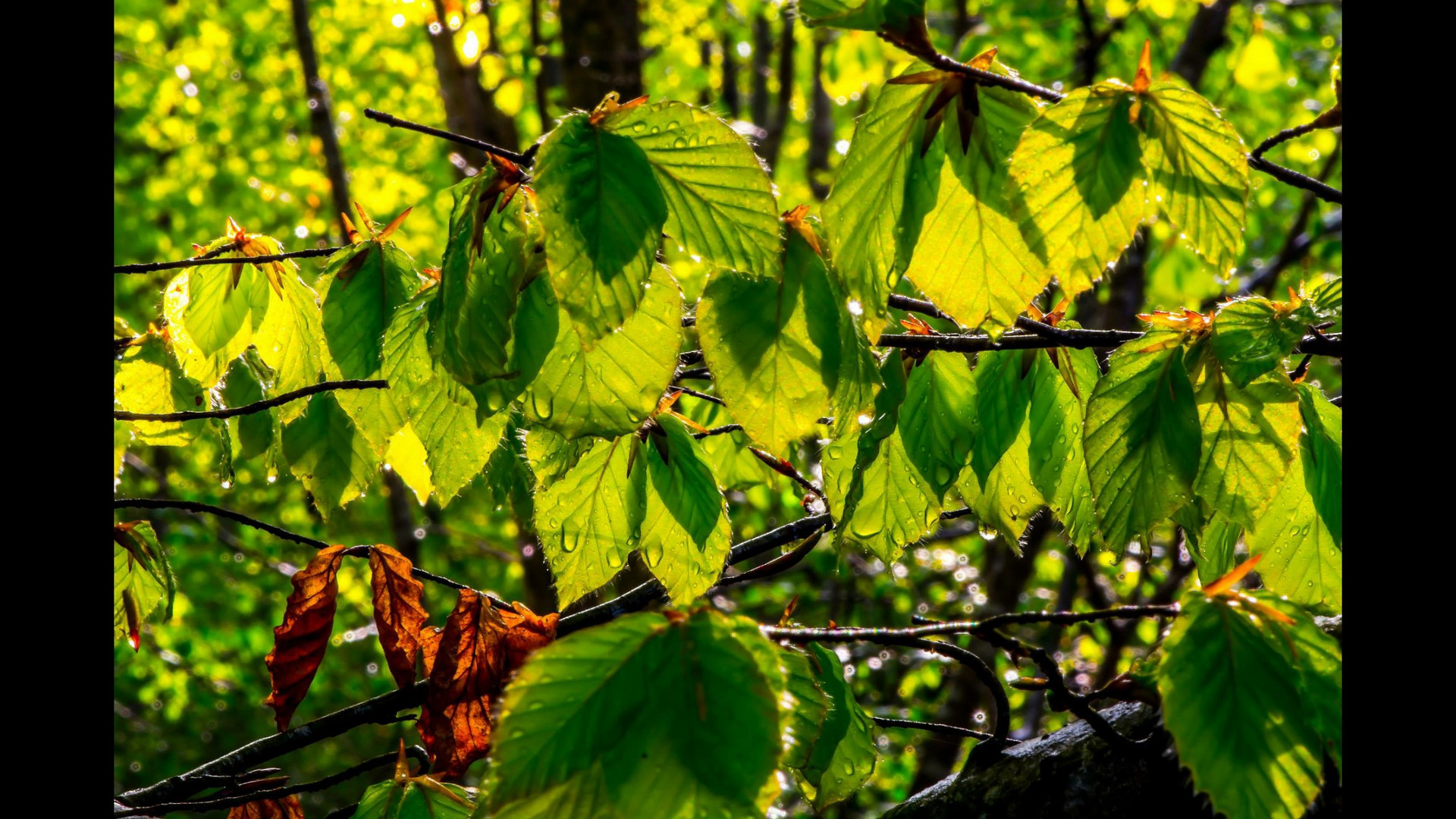 Der Frühling ist da :-)