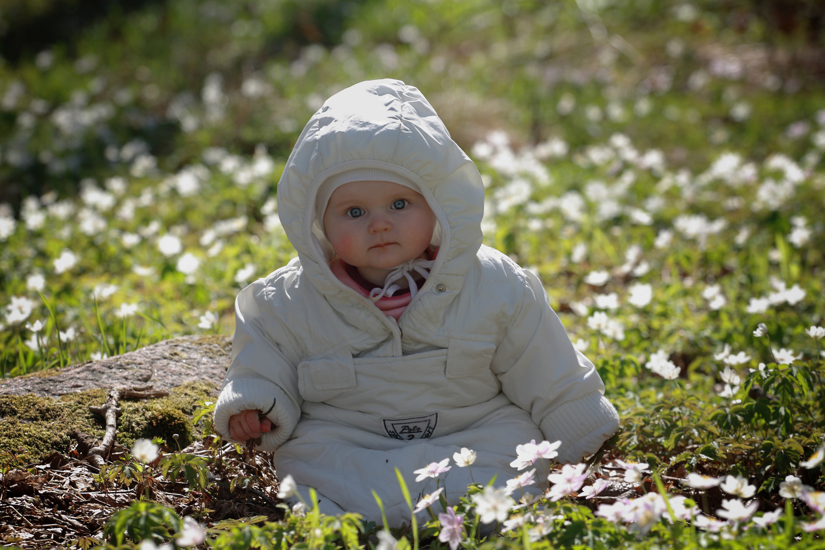 Der Frühling ist da