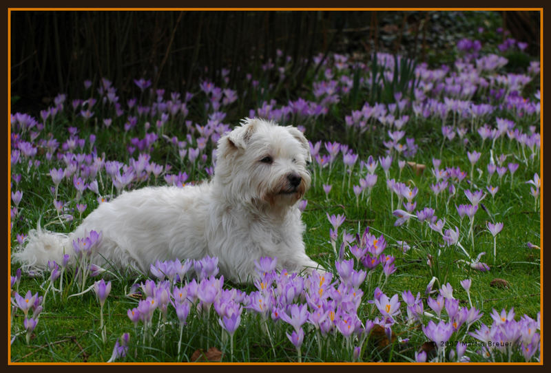 Der Frühling ist da