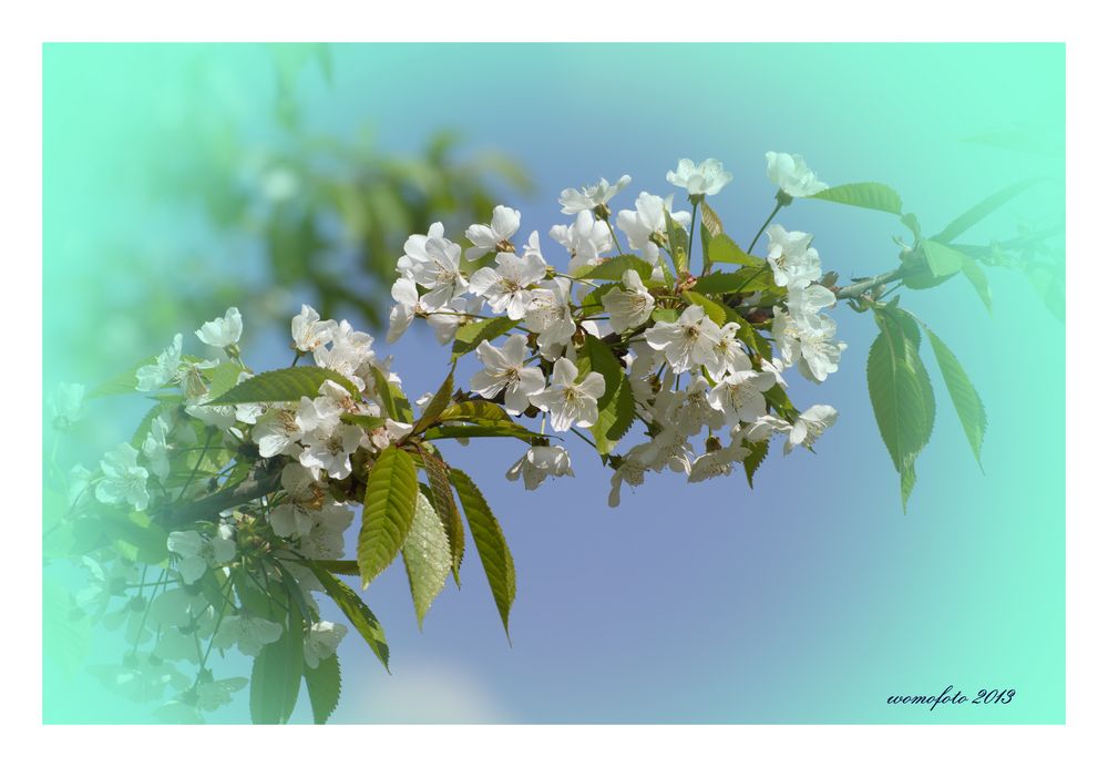 Der Frühling ist da