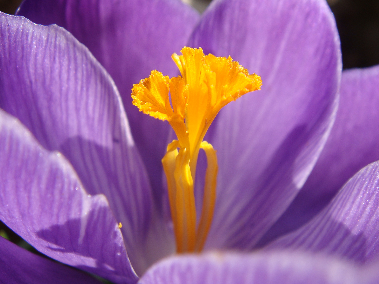 Der Frühling ist da!