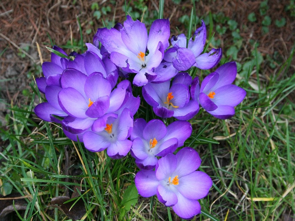 Der Frühling ist da!