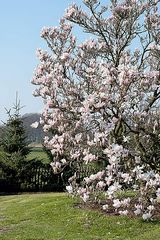 Der Frühling ist da!